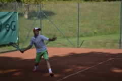 Altenseelbach 2015 - David 3